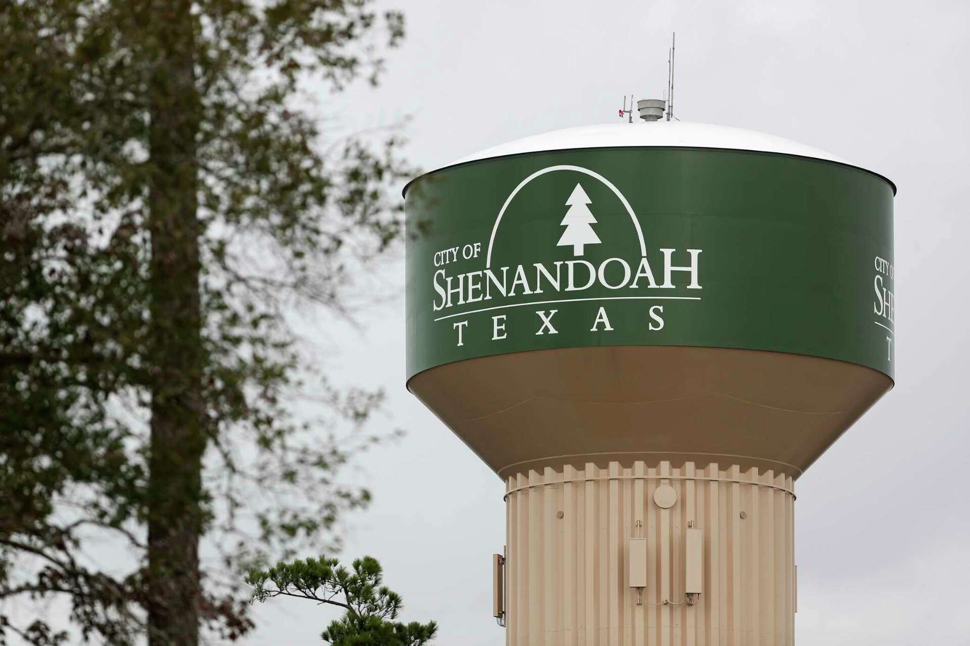 Shenandoah, TX artificial turf projects