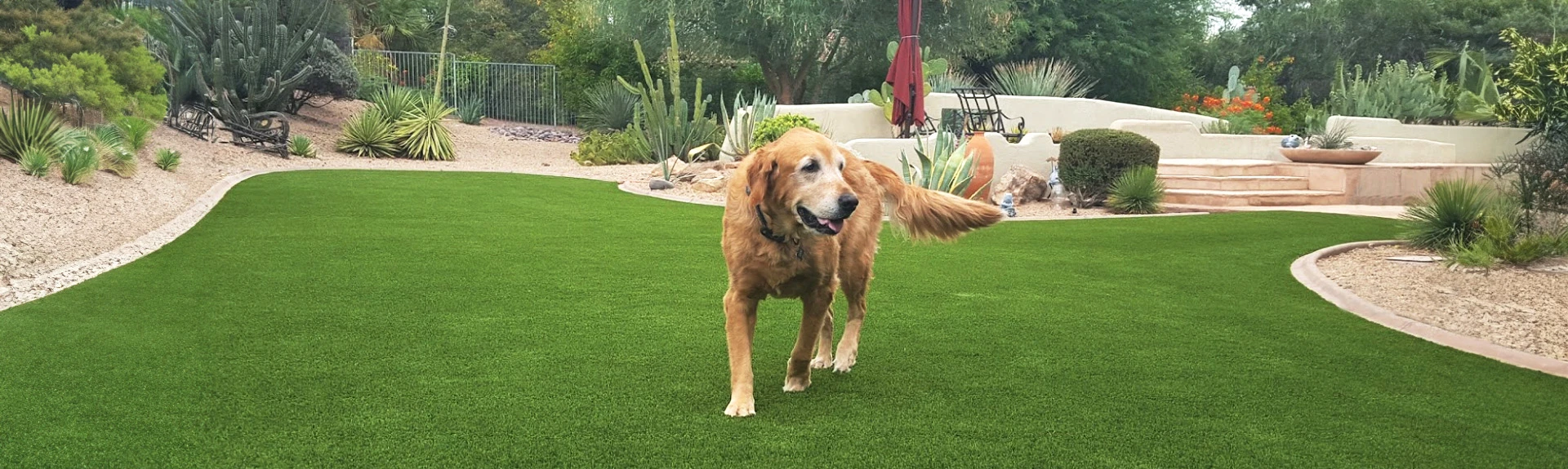 Pet Friendly Artificial Turf Installation in Spring, TX